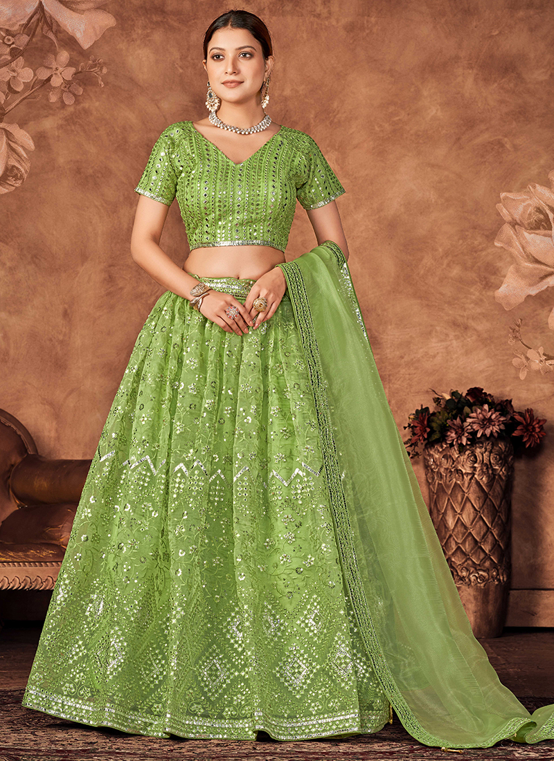 Light Green Embroidered Net Lehenga – Stylemantra