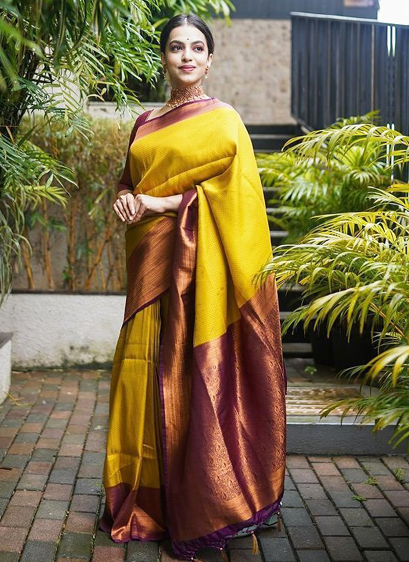 Roy Fabrics Party Wear Soft Lichi Silk Organic Banarasi Silk Saree, 5.5 m  (separate blouse piece) at Rs 550/piece in Surat